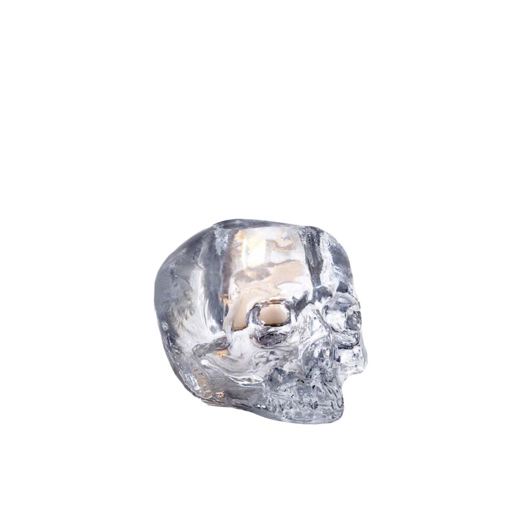 kosta boda still life skull clear