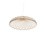 skynest suspension