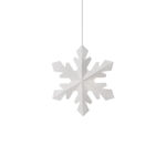 8134 snowflake