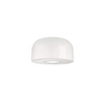 Flos Bellhop Glass C2