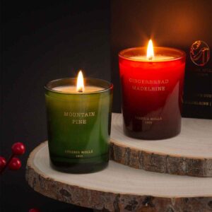 Gingerbread Madeleine & Mountain Pine Set 70gr