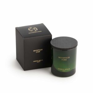 Mountain Pine doftljus