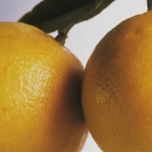 Basil & Mandarín doftpinnar