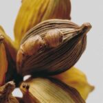 Santal & Tonka doftpinnar