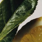 Tea & Lemongrass doftpinnar