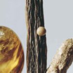 Velvet Wood doftpinnar