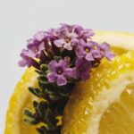 Verbena di Sicilia doftpinnar